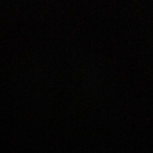 Meet your Posher, Pat